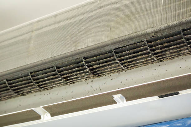Best Residential Air Duct Cleaning  in Ladue, MO